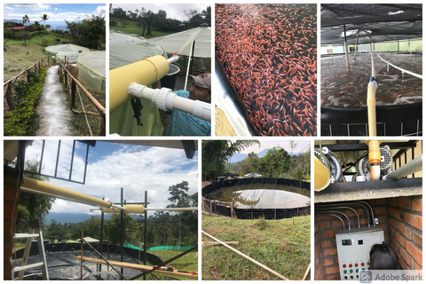 Finca San José Sistema acuícola